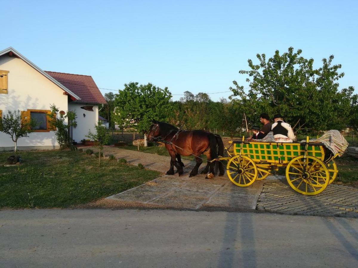 Kuca Za Odmor "Dva Srca" Ceminac Exterior foto